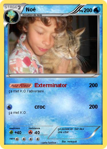 Pokemon Noé