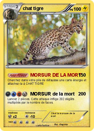 Pokemon chat tigre
