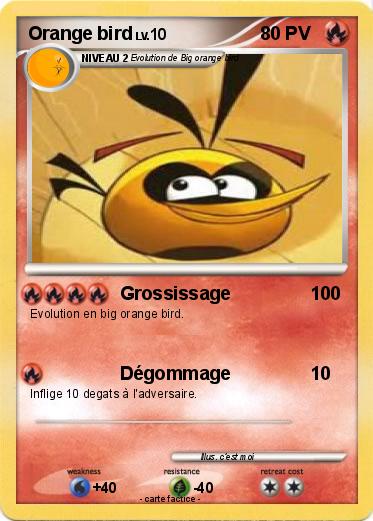 Pokemon Orange bird