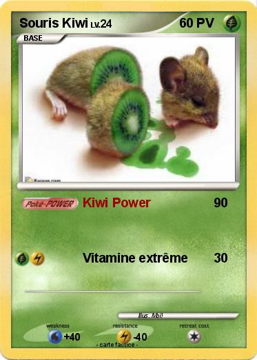 Pokemon Souris Kiwi