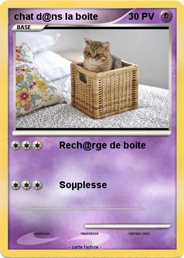 Pokemon chat d@ns la boite