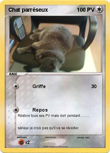 Pokemon Chat parréseux 