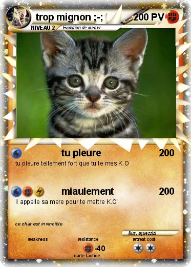 Pokemon trop mignon ;-;