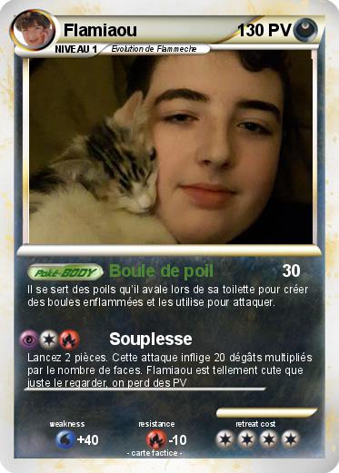 Pokemon Flamiaou