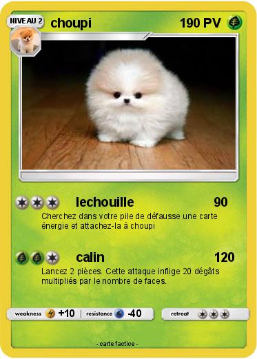 Pokemon choupi