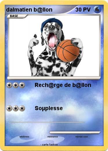Pokemon dalmatien b@llon