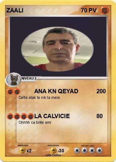 Pokemon ZAALI