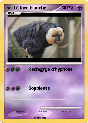 Pokemon saki à face blanche