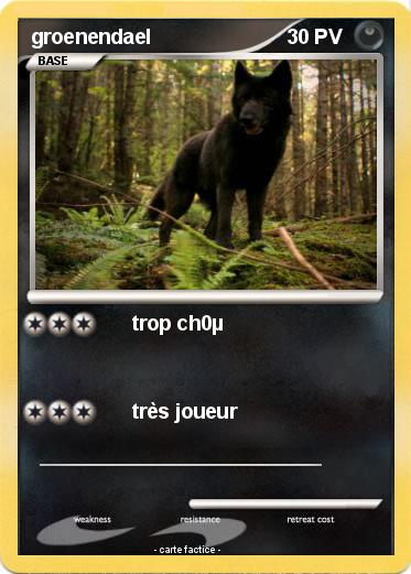 Pokemon groenendael