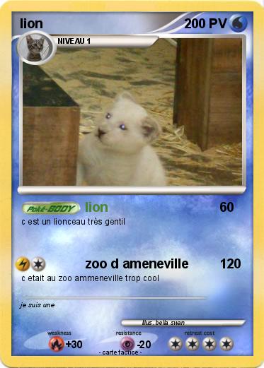 Pokemon lion