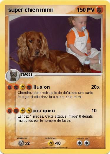 Pokemon super chien mimi