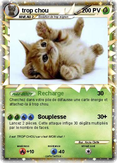 Pokemon trop chou
