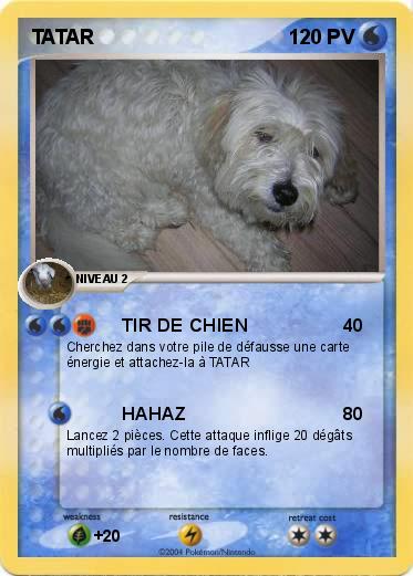 Pokemon TATAR