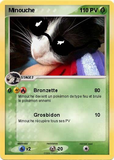 Pokemon Minouche