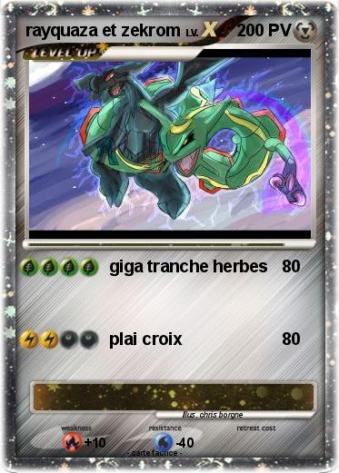 Pokemon rayquaza et zekrom