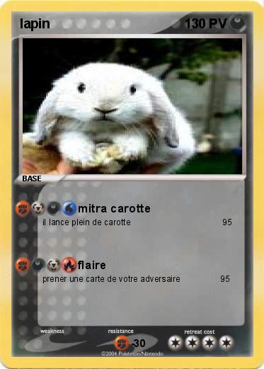Pokemon lapin