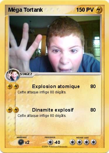 Pokemon Méga Tortank