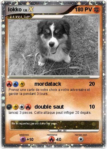 Pokemon Iokko