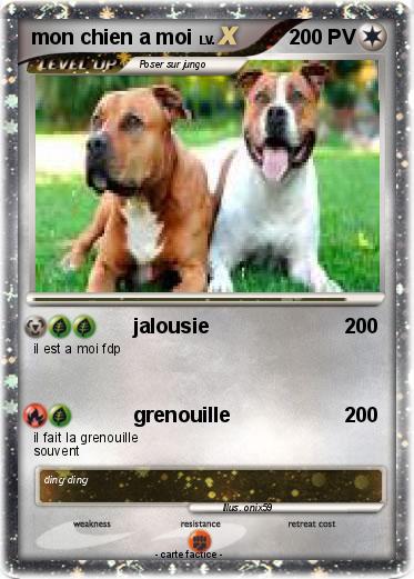 Pokemon mon chien a moi
