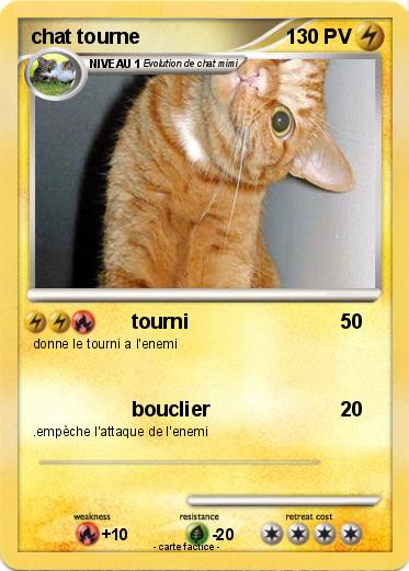 Pokemon chat tourne