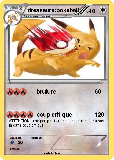 Pokemon dresseurs:pokéball