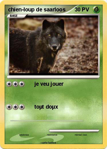 Pokemon chien-loup de saarloos