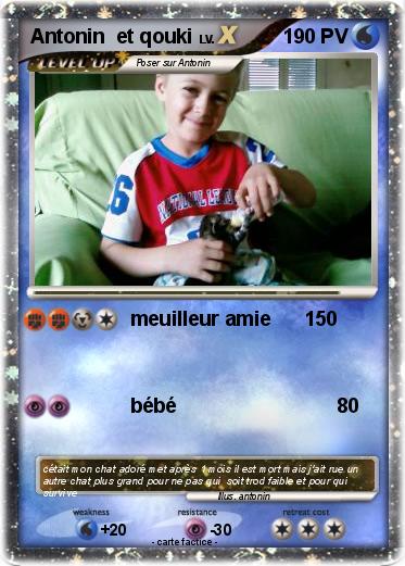 Pokemon Antonin  et qouki