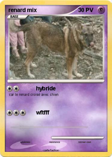 Pokemon renard mix