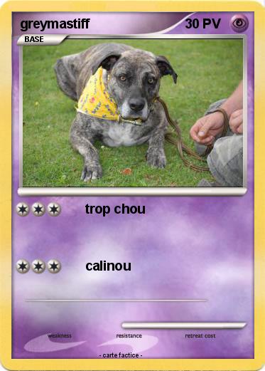 Pokemon greymastiff