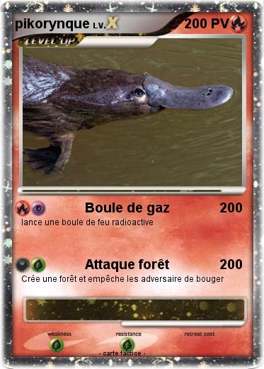 Pokemon pikorynque