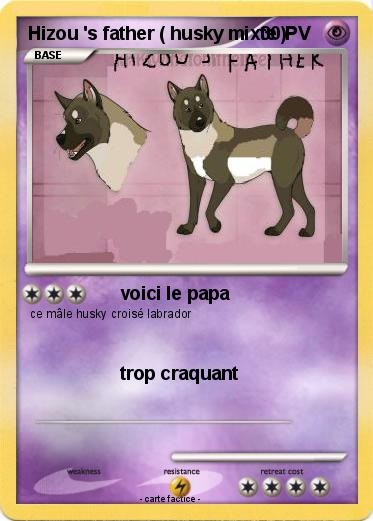 Pokemon Hizou 's father ( husky mixte )