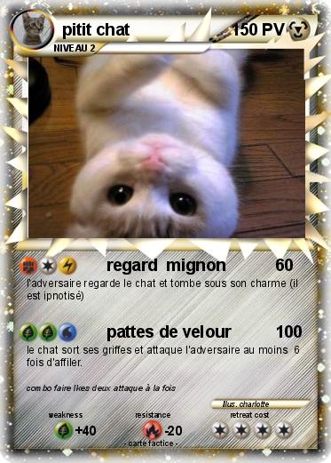 Pokemon pitit chat