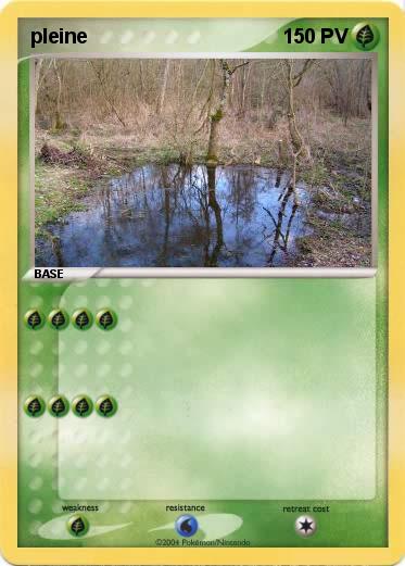 Pokemon pleine