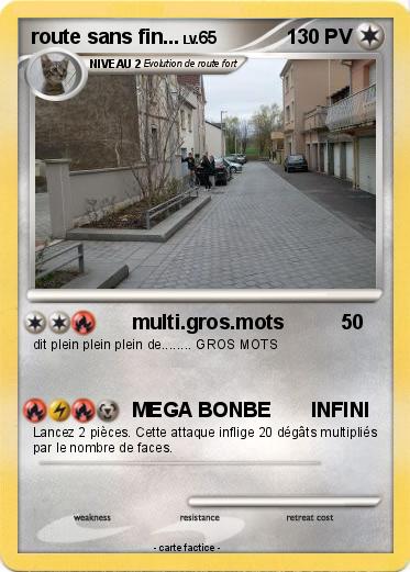 Pokemon route sans fin...