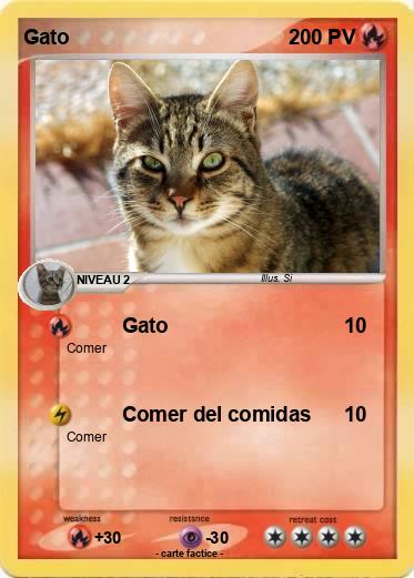 Pokemon Gato