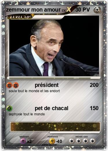 Pokemon zemmour mon amour