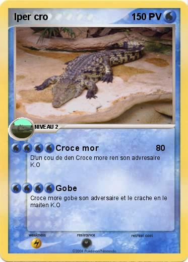 Pokemon Iper cro