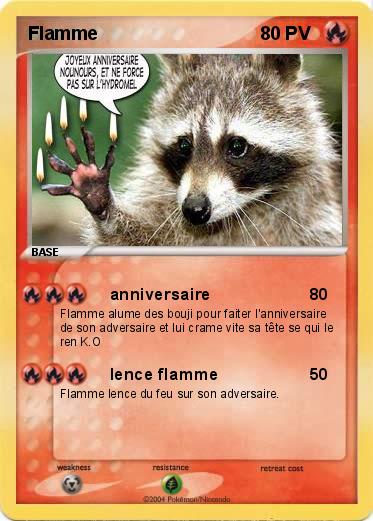 Pokemon Flamme