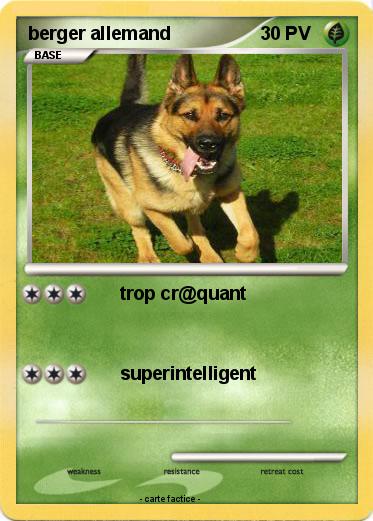 Pokemon berger allemand