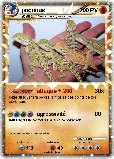 Pokemon pogonas