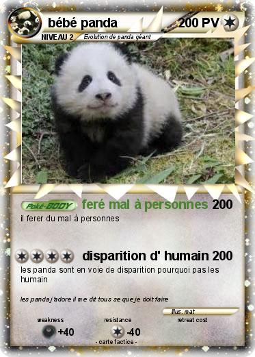 Pokemon bébé panda
