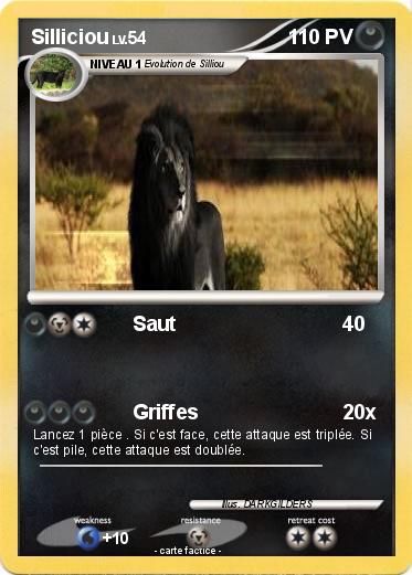 Pokemon Silliciou
