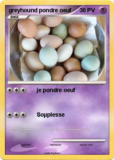 Pokemon greyhound pondre oeuf