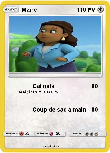 Pokemon Maire