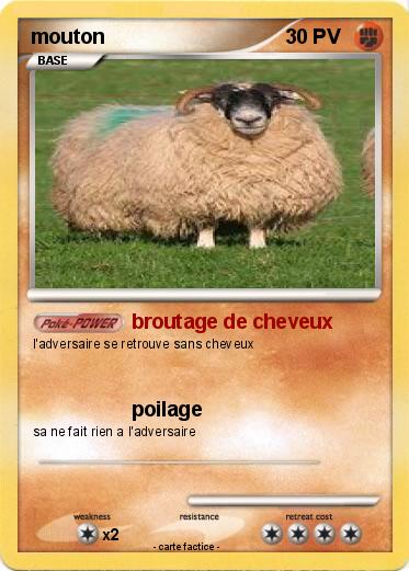 Pokemon mouton
