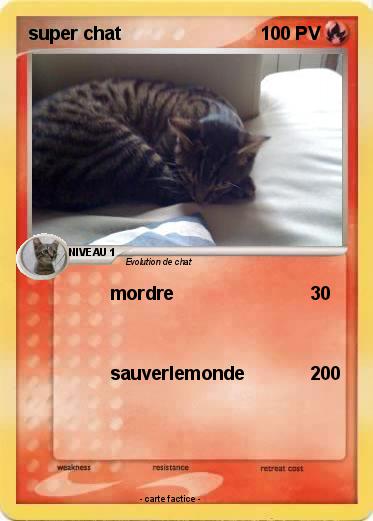 Pokemon super chat