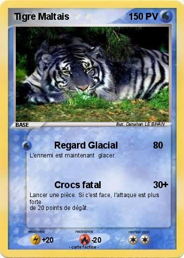 Pokemon Tigre Maltais