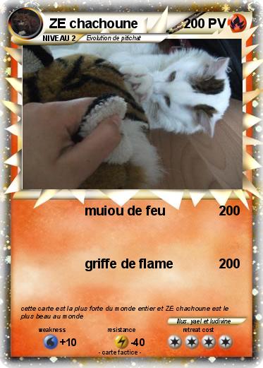 Pokemon ZE chachoune