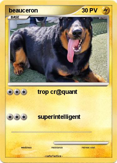 Pokemon beauceron