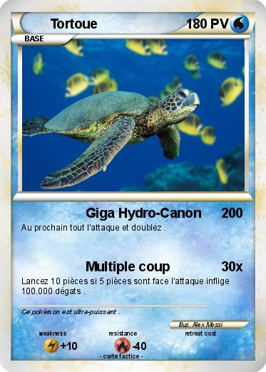 Pokemon Tortoue